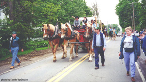 Horses in Parade